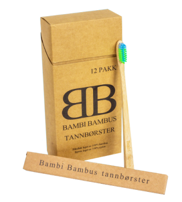 BambusTannborste2